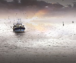 barco de pesca