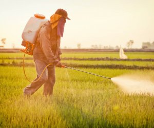Trabajo al aire libre