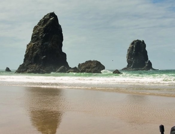 FRATERNIDAD-MUPRESPA CONCEDE MÁS DE 1.300.000 € EN AYUDAS SOCIALES