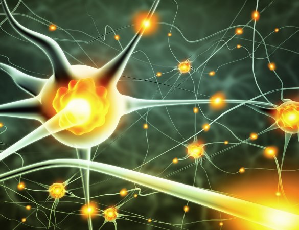 Profesionales de Fraternidad-Muprespa presentan un poster en el Congreso ISAKOS 2017