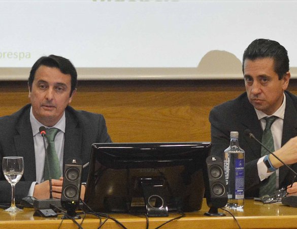 Ponencia jornada Vigo Fraternidad-Muprespa y AGALCO