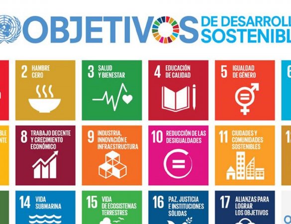 Existen 17 Objetivos de Desarrollo Sostenible que buscan proteger el planteta y asegurar la prosperidad