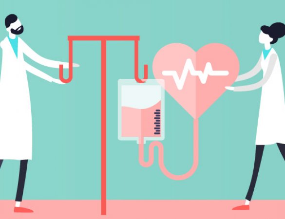 Maiatzak 12, Erizaintzaren Mundu Eguna: prestakuntzaren eta prestakuntzaren garrantzia