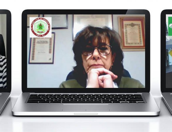 Participantes do seminario web de Ciudad Real