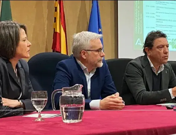 Banner_day_cadiz_mar_morales