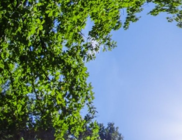 InForM@ 2.0 Buletina - 2021eko ekaina Osasunarekin eta ingurumenarekin inplikatuta