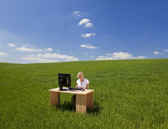 empleo verde