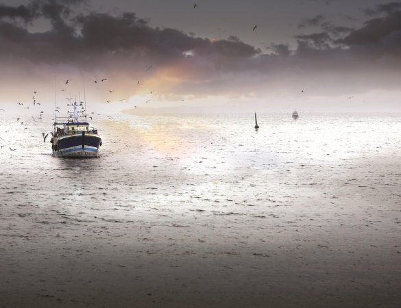 barco de pesca