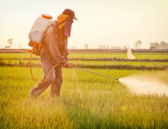 Trabajo al aire libre
