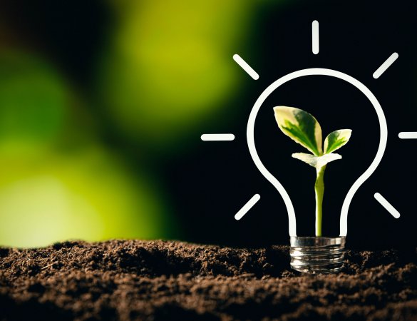 Boletín InForM@ 2.0 - xaneiro de 2021: as cousas máis relevantes de 2020