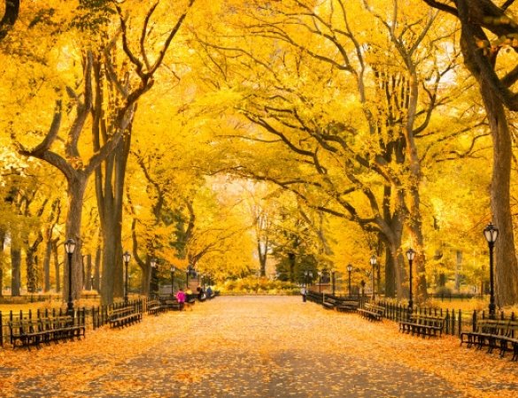 InForM@ 2.0 – Octubre 2021 – El canvi de temporada no ens atura