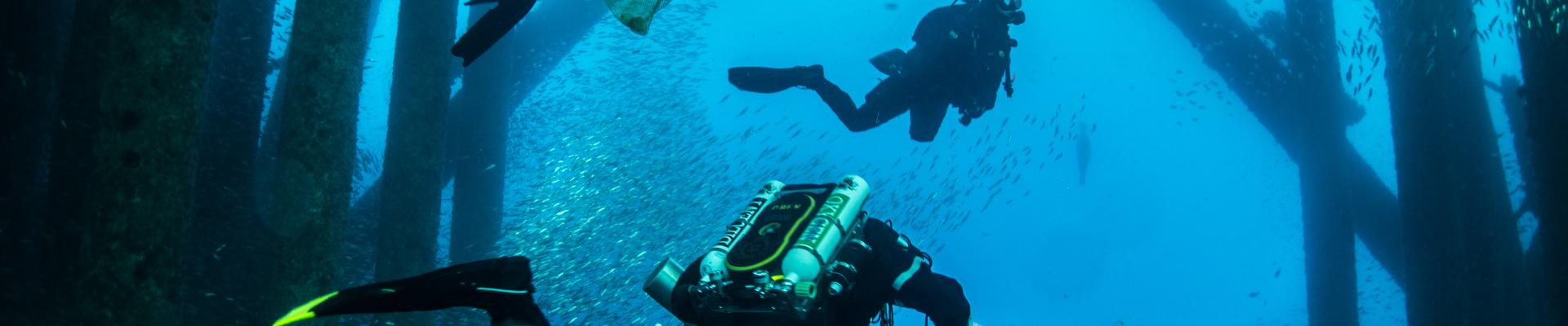 Buceo profesional