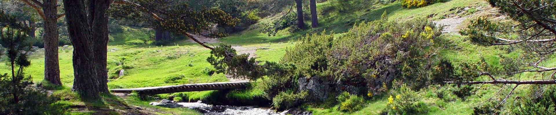 Fondos de escritorio de la Mutua Fraternidad-Muprespa