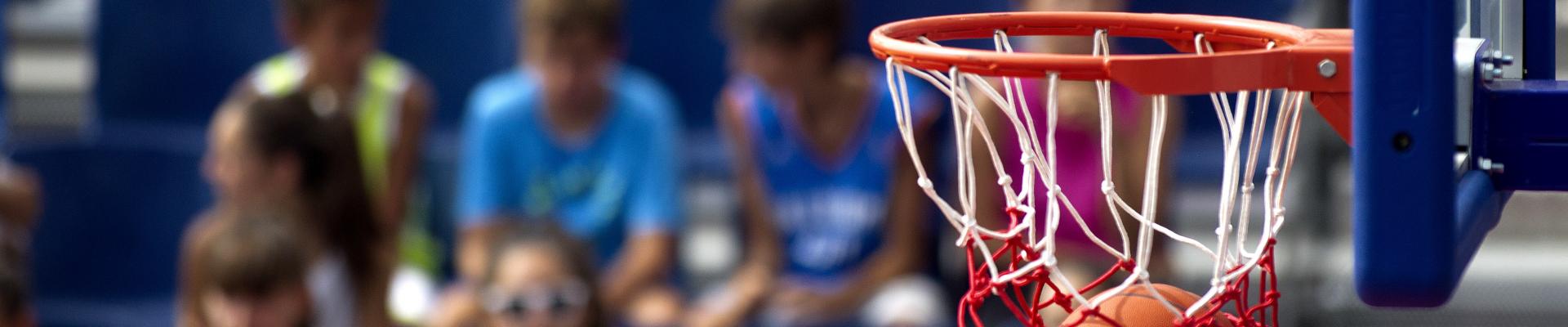 Canasta de baloncesto