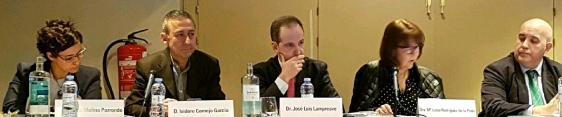 Mesa redonda IX Jornada de comunicación:Aptitud Laboral