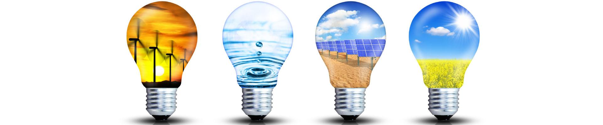 Portada adhesión a la Plataforma Española de Acción Climática