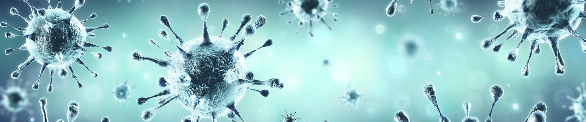 Informació sobre el coronavirus (COVID-19)