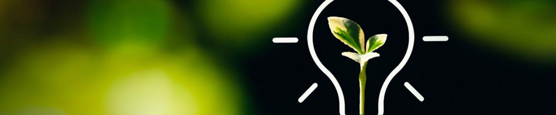 inForM@ - número 7 – Enero 2021