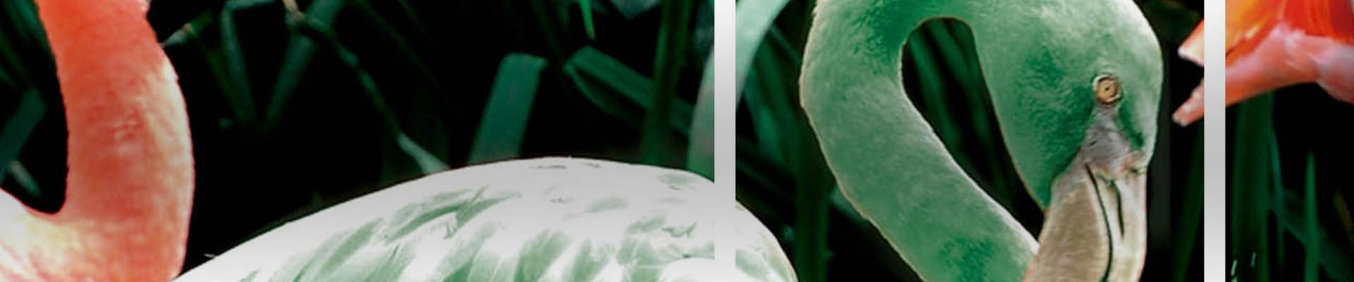 InForM@ 2.0 - Octubre 2020 – Quiero ser verde