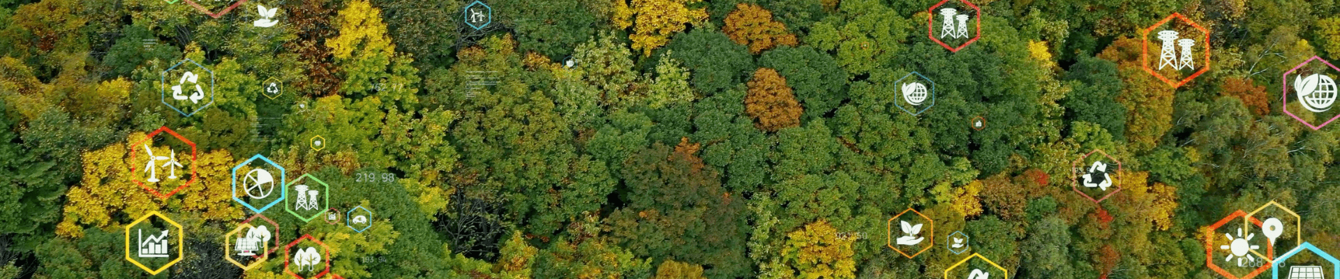 inForM@ - número 26 – Octubre 2022