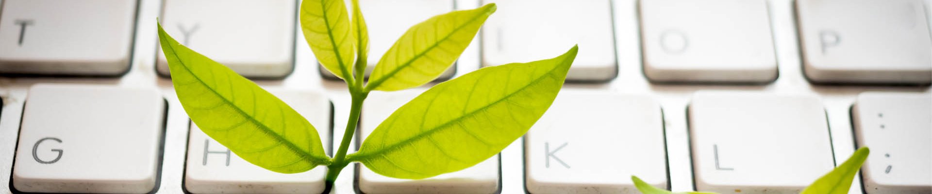 inForM@ - número 1 - Julio 2020