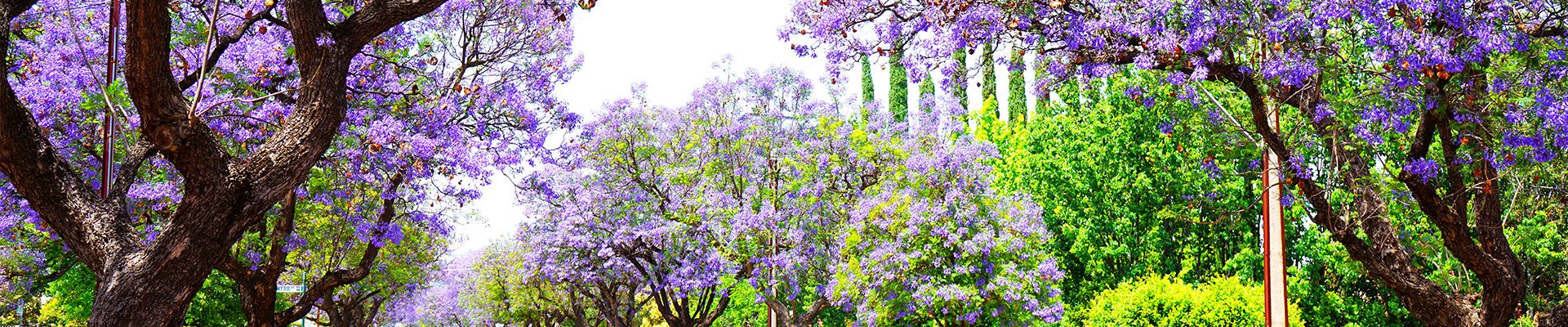 inForM@ - número 21 – Marzo 2022