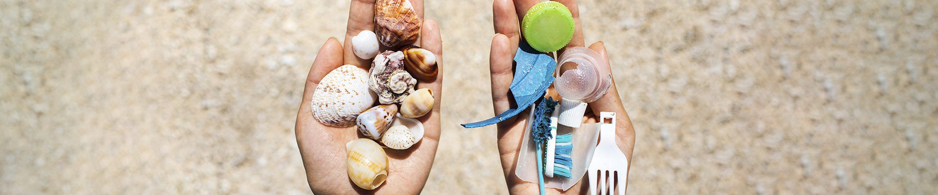 inForM@ - número 24 – Junio 2022