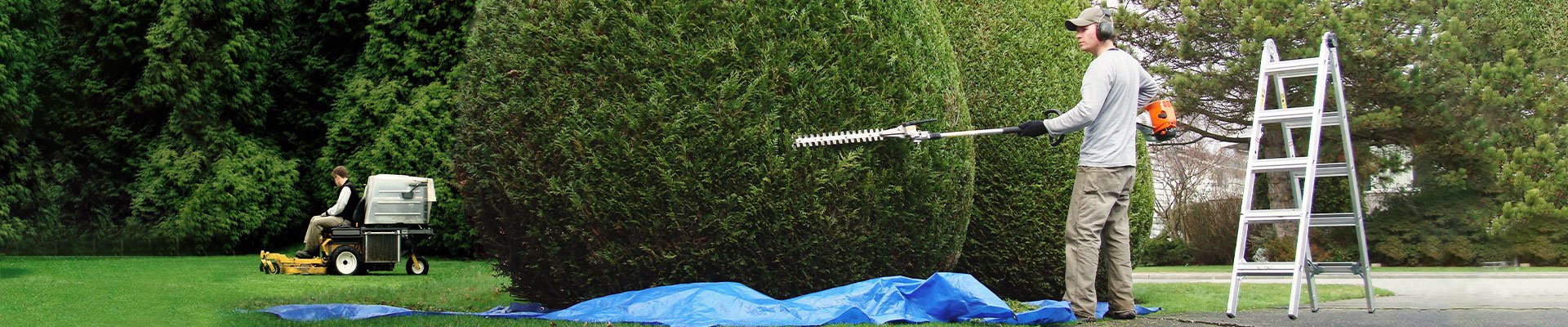 Banner infoprevención mayo