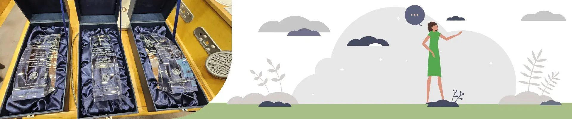 Fraternidad-Muprepa, testemuña na entrega dos XX Premios ao Mérito Social no Senado