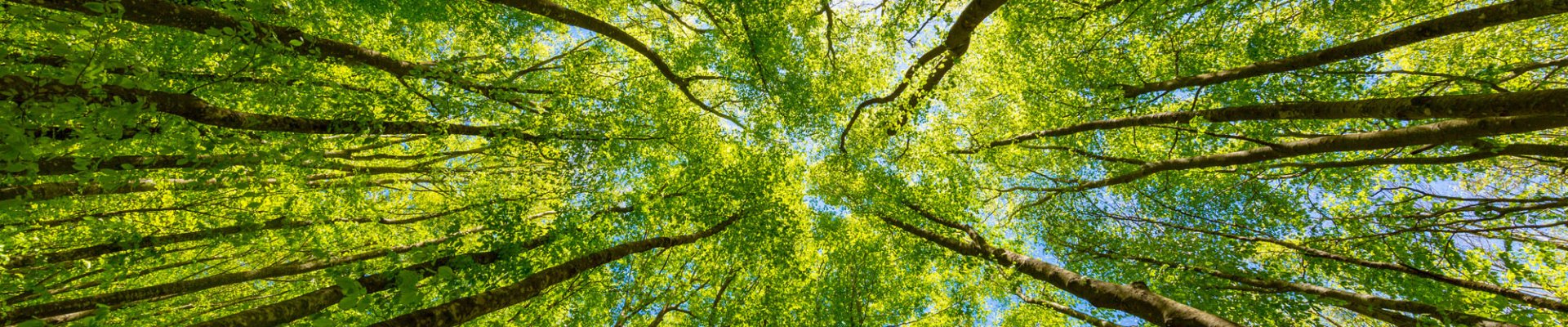 Boletín InForM@ 2.0 - Febrero 2021: Un boletín electrónico positivo