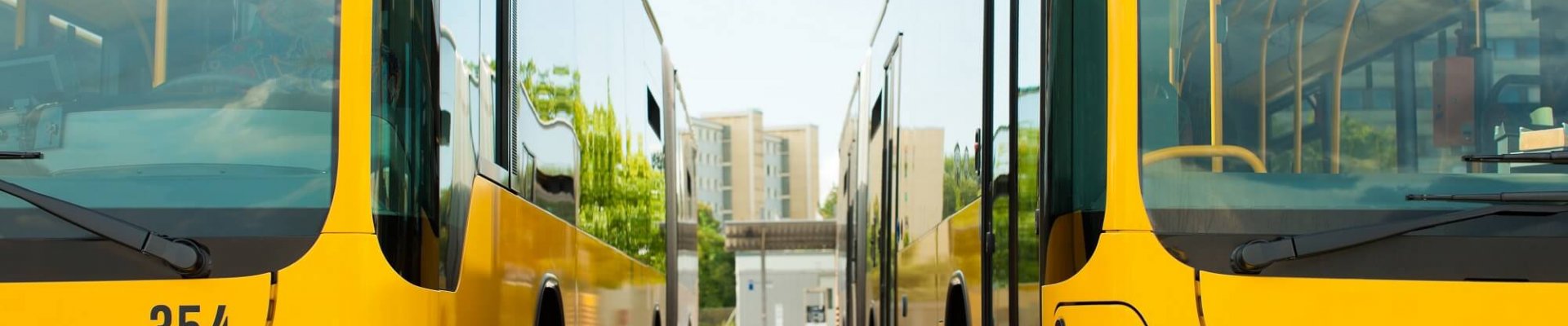 Autobuses estacionados