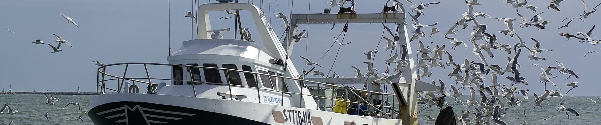 barco