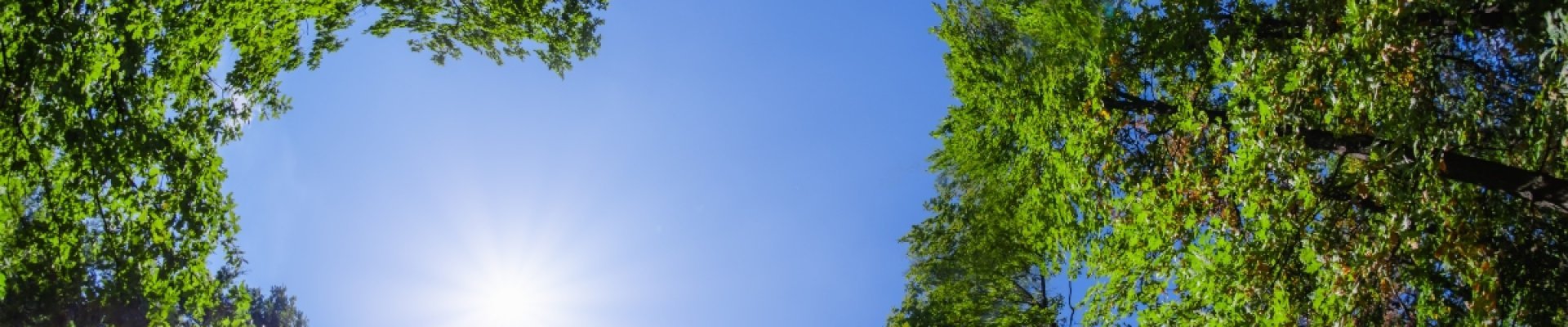 Boletín InForM@ 2.0 - Junio 2021 Implicados con la salud y el medioambiente