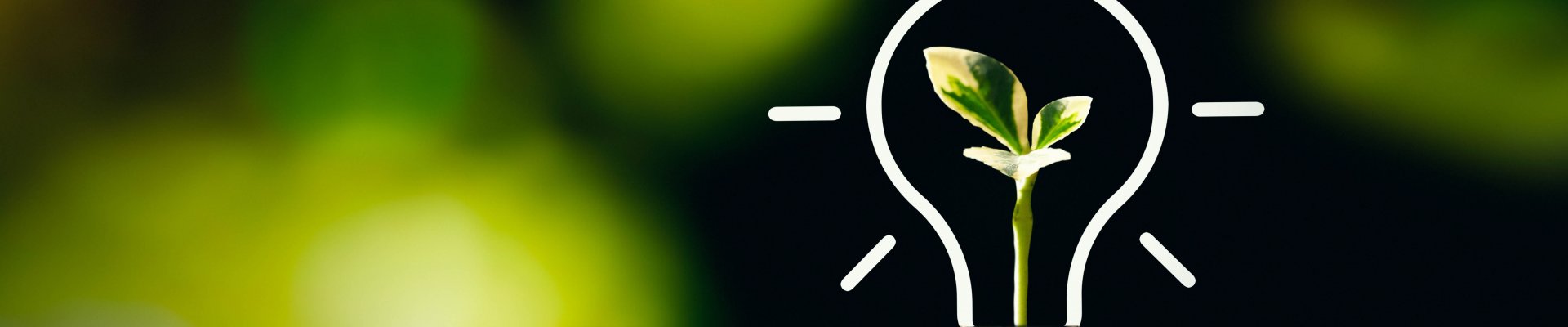 Boletín InForM@ 2.0 - Enero 2021: Lo más relevante del 2020