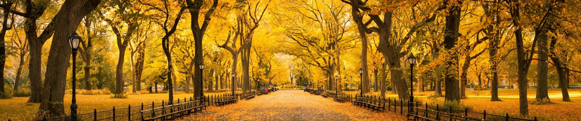 InForM@ 2.0 – Octubre 2021 – El cambio de estación no nos frena