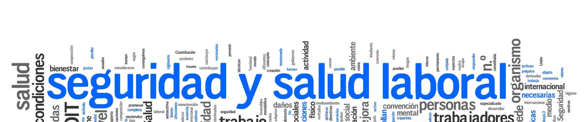 seg y salud