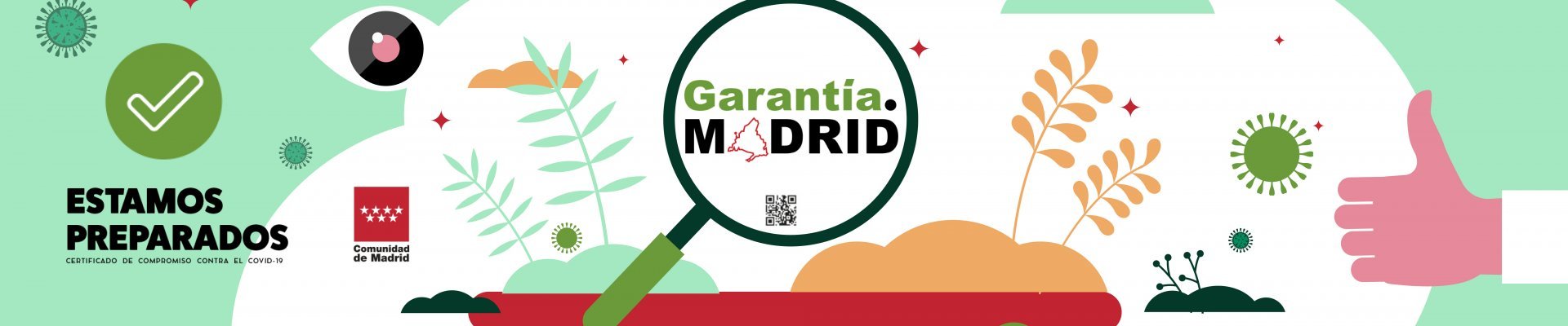 Video obtención del identificativo Garantía Madrid