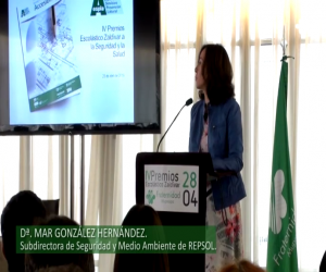 Guia de accesibilidad