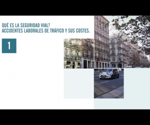 Seguridad vial