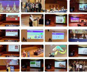 Collage de imágenes de los intervinientes de Fraternidad-Muprespa en el Congreso