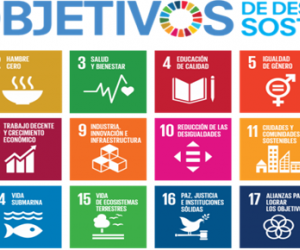 Objetivos de Desarrollo Sostenible