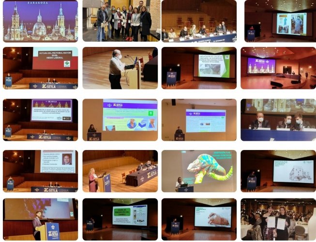 Collage de imágenes de los intervinientes de Fraternidad-Muprespa en el Congreso